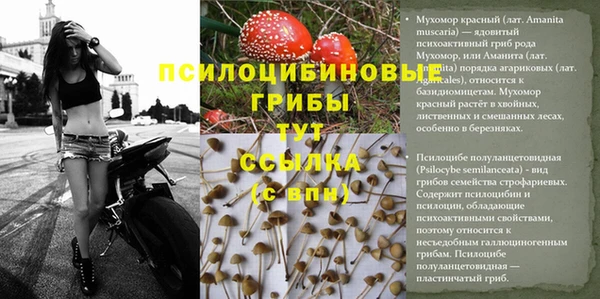 jwh Армянск