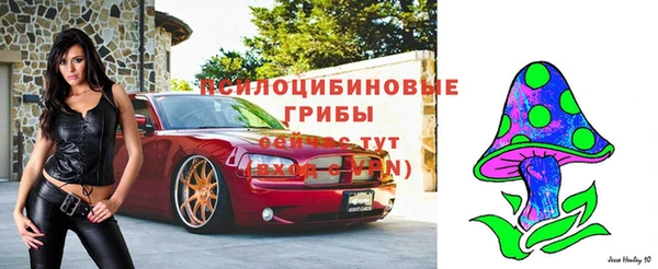 jwh Армянск