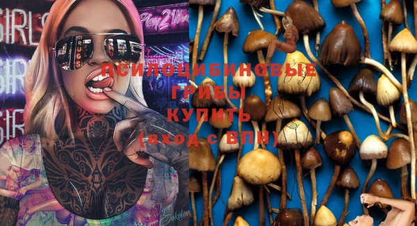 спиды Алексеевка